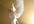 create a beautiful poem from the Angels filled with love and light especially for you or a loved one