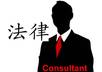 provide a Consultant Services Agreement
