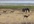 send you 10 beautiful pictures of Africa I took