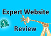 review your website providing valuable, professional feedback to improve it
