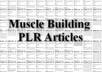 give you 200+ muscle building related PLR private label rights articles