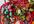send you an assortment of beads for jewelry making or crafting