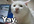 send a facebook message to anyone