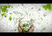 create an EXPLODING Greeting Video with a photo of you small1