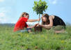 plant a tree or 5 flowers with your name in Bulgaria