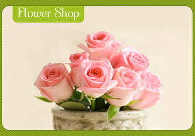 design a professional and the best, print ready post card to promote your business big1