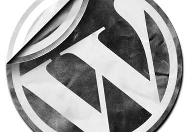 install WordPress and your given theme big1
