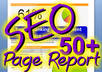 compile a complete 50+ page indepth SEO and keyword competition report for your site to help you out rank your competitors