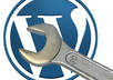 advice any of your wordpress problem small1