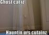 tell teach how not to be affraid if your house has ghosts
