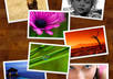 edit picture, format file extension, cropping etc