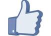give you 100 facebook fans small1