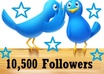Seo amazing