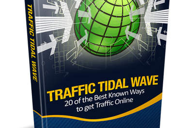 give you How to get Traffic PLR ebook with unrestricted right big1