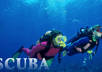 answer any five scuba related questions