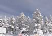 advise you the best and funnest way to travel from Tokyo to Niseko