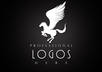 design a professional logo for your company, website, firm, anything