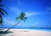 give you a detailed list of fun activities and places to go in Panama City Beach , Florida