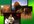 add a watermark on your videos
