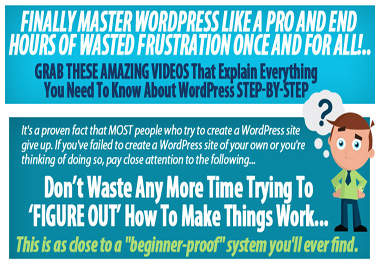 show you how master wordpress like a professional big1