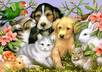 send A REPORT On How To Kill Fleas Naturally