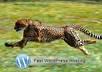 make your wordpress site much faster