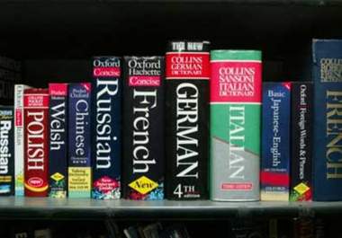 translate ANY document, web page or sales letter into one of 14 languages big1