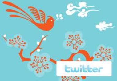 tweet Your Products, Services or ADs to over 20,000+ followers big1