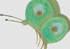 resize your crafted by hand illustration to fit 3 electronical devices small1