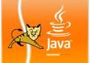 do a Java web programming