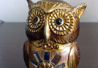 take a Picture of Tommy the Owl With Your Message big1
