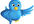 show you how to get 2000 plus twitter followers each day
