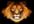 forecast your Leo Future with Astrology