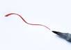 proofread and edit any document or paper up to 10 pages