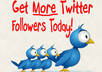 give you 15500+ Twitter Followers Within 24 Hours