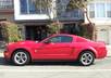 advertise your business on my Mustang for 48 hrs in the San Francisco Bay Area small1