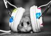 make a customized playlist of songs of any genre