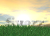 create a Sunrise Video with Your Logo or Text small1