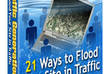 Website traffic for money