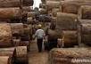show you how to import cheap bamboo and wood Africa