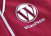 upload Wordpress to your site and help with domain name right hosting etc,