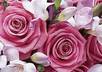 send you an ebook on how to make your own perfume