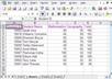 do all types of Data Entry using Excel spreadsheet