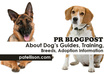 review your site or product on my PR0 Dog Lover blog, it will boost your serp on google