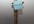 ask my puppet to promote your business