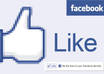 add 50,000 GUARANTEED High Quality facebook likes for any page without admin access only
