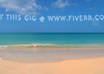create you this skywriting video small1