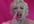 send you a video of my Hilarious R Rated BLOOPERS and behind the scenes clips as Marilyn Monroe and myself