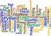 complete your programming assignment or project small1
