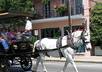 give you insider tips on the best places to eat, stay and visit in Charleston, SC